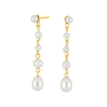 Load image into Gallery viewer, Gold  Drop Pearl Earrings.
