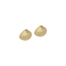Load image into Gallery viewer, Sea Shell Stud Earrings
