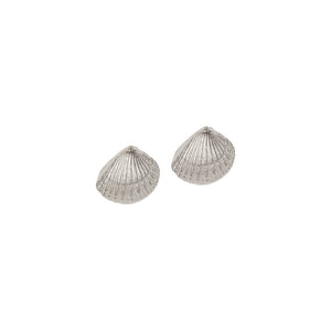 Sea Shell Stud Earrings