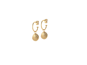Sea Shell Creole Earrings